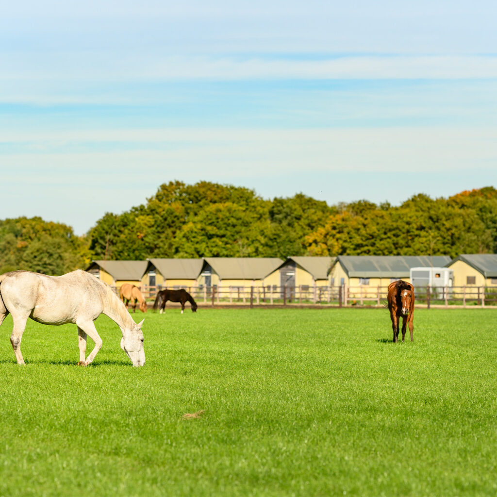 Ontdek de leukste uitjes voor deze zomer!