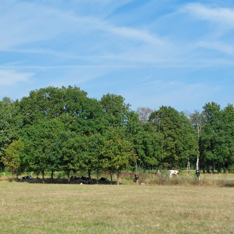 Pacht en Perspectief 20251001_144823 Pacht en Perspectief 20251001_144823