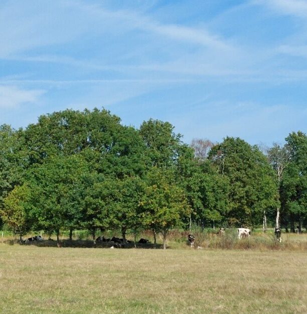 Save the date 27 augustus: Samen werken aan de landbouw van morgen
