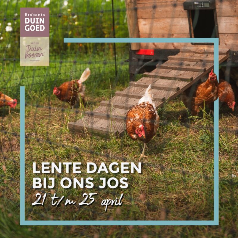 Lente dagen Ons jos 2026