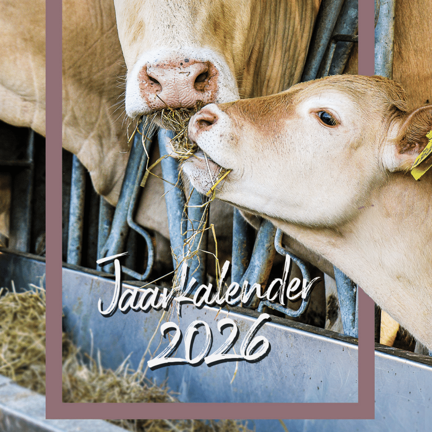 Beleefjaar vol activiteiten bij de Duinboeren in 2026