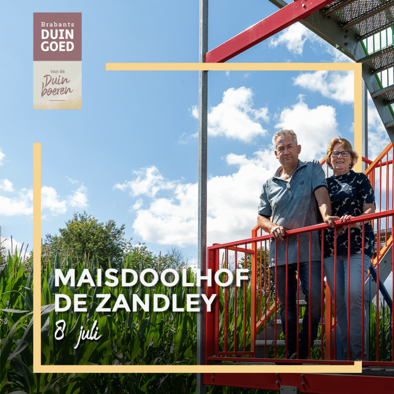Mais doolhof Mais doolhof