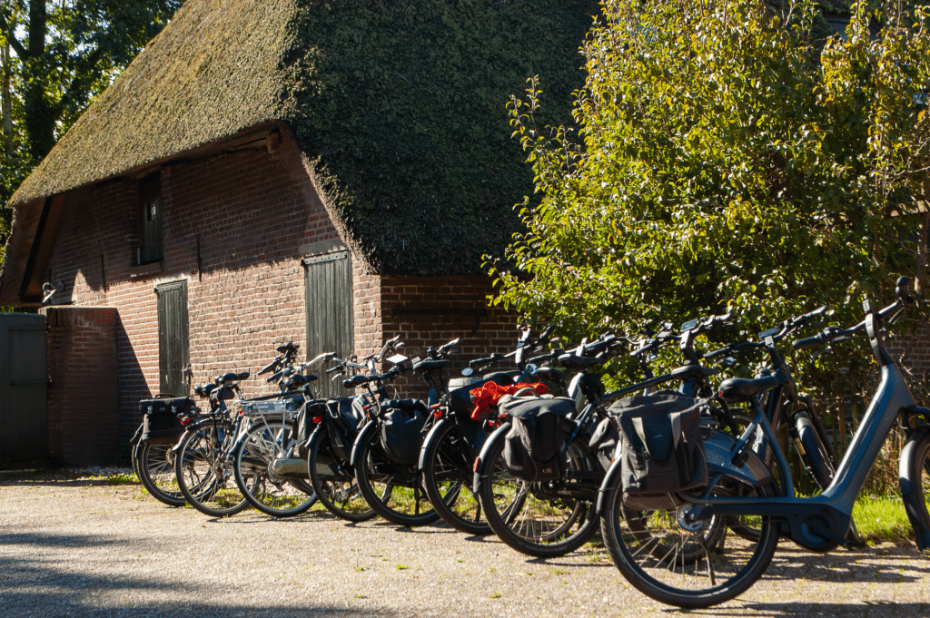 Terugblikken, vooruitkijken en meer🐑🌳